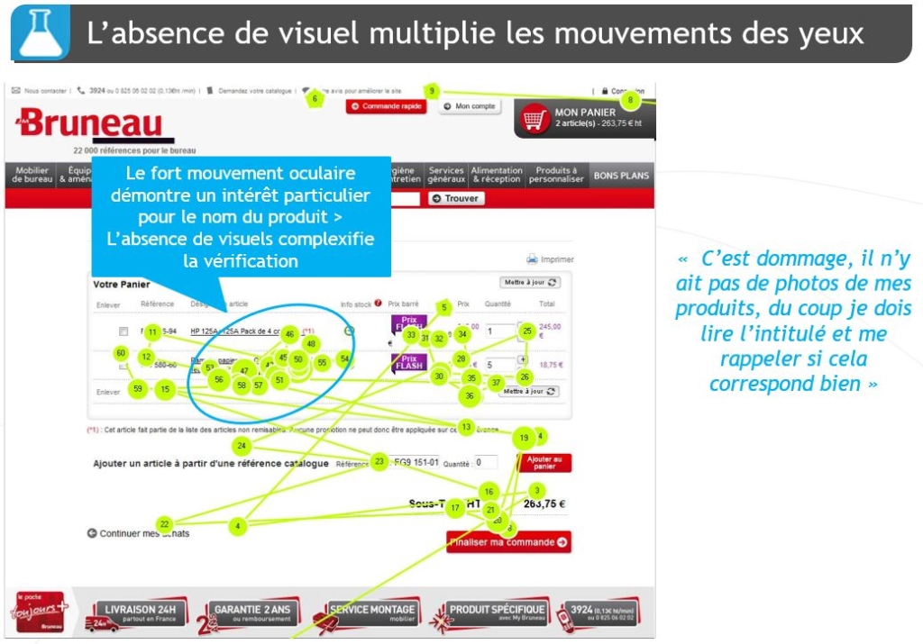 bruneau-eye-tracking