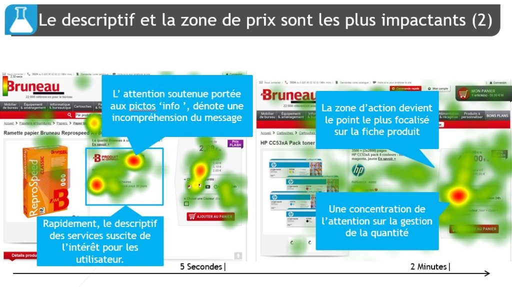bruneau-eye-tracking-2
