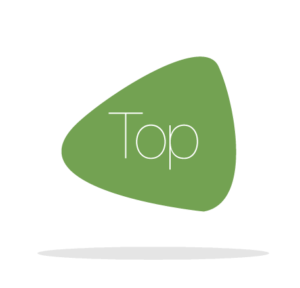 Icone Top